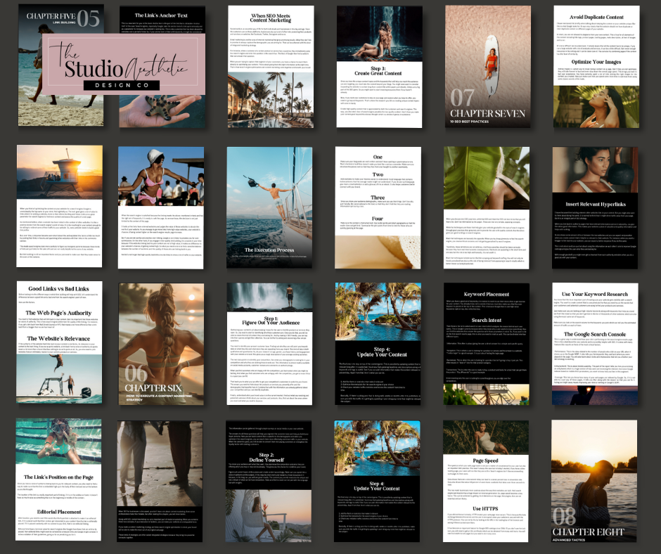 SEO Domination eBook with MRR - Grace Favorites