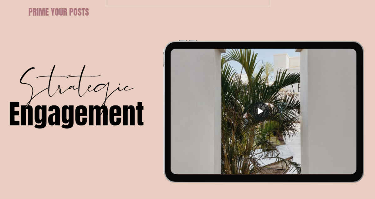 The Instagram Growth Blueprint Course - Grace Favorites