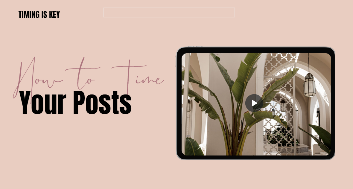 The Instagram Growth Blueprint Course - Grace Favorites