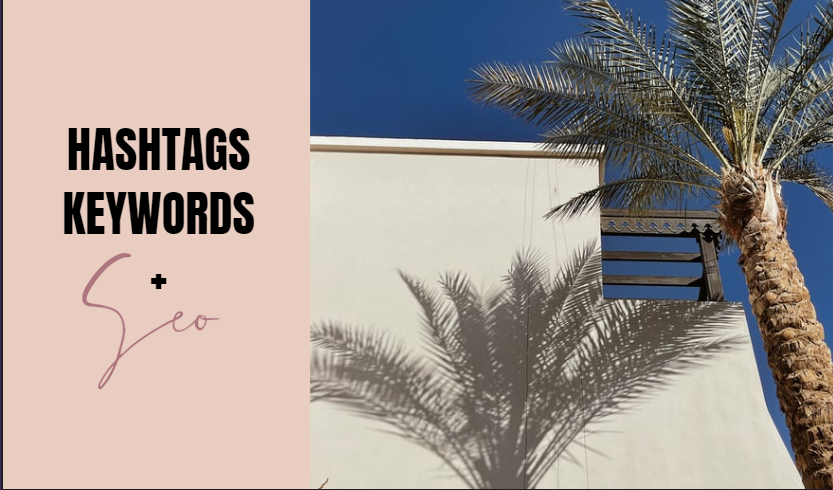 The Instagram Growth Blueprint Course - Grace Favorites
