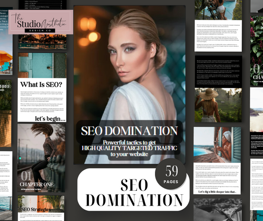 SEO Domination eBook with MRR - Grace Favorites